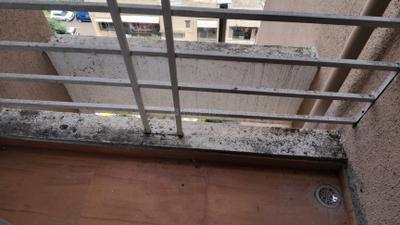 Balcony Image of 1120 Sq.ft 2 BHK Apartment / Flat for sale in Triveni Heights, Ulwe Navi Mumbai for Rs. 11000000