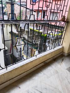 Balcony Image of 810 Sq.ft 2 BHK Apartment / Flat for sale in Netaji Nagar Kolkata for Rs. 2500000