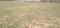 DLF Valley Plots Main Image 1