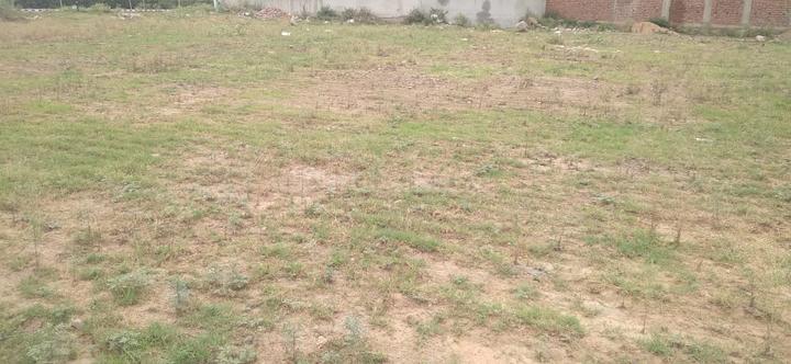 DLF Valley Plots Main Image 1