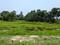 NATURE PARADISE Main Image 1
