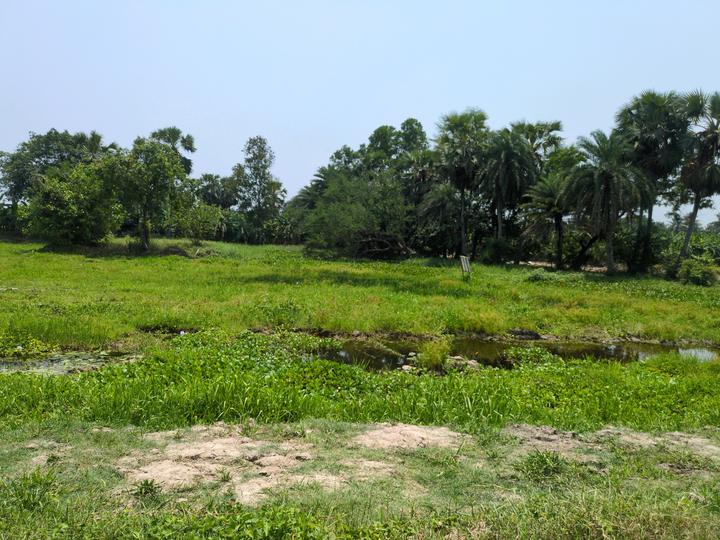 NATURE PARADISE Main Image 1