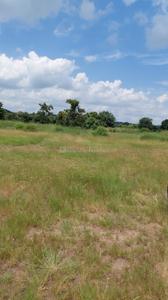 Image of 4840 Sq.ft Residential Plot / Land for sale in Mominpet, Hyderabad for Rs. 7500000