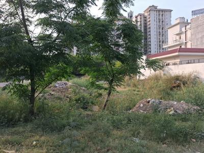 Residential Plot