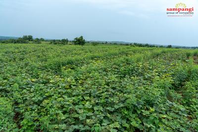 Image of 605 Sq.ft Residential Plot / Land for sale in Sadasivpet, Sangareddy for Rs. 621000