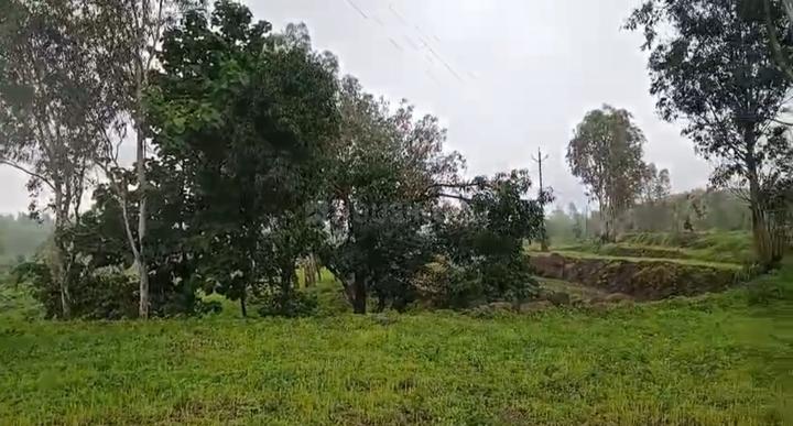 Panhala Main Image 1