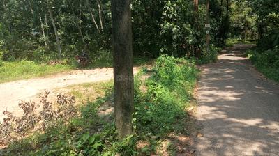 Image of 3876 Sq.ft Residential Plot / Land for sale in Mulanthuruthy, Kochi for Rs. 225000
