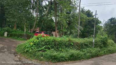 Image of 108900 Sq.ft Residential Plot / Land for sale in Thiruvalla, Pathanamthitta for Rs. 300000
