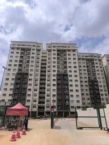 3 BHK Apartment