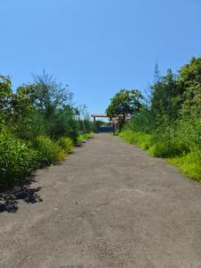 Image of 2723 Sq.ft Residential Plot / Land for sale in Shrivardhan, Raigad for Rs. 220000