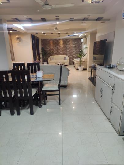 Kachnar sambhar Main Image 1