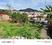Emerald green shastradhara road near panache valley Plot View 2