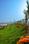 Thagarapuvalasa Plot View 2