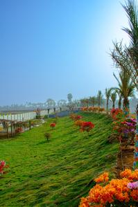 Thagarapuvalasa Plot View 2