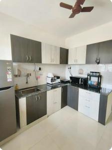 Kitchen Image of 800 Sq.ft 1 BHK Apartment / Flat for rent in Kadri Mangalore for Rs. 20000