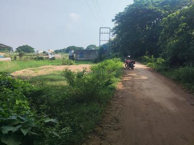 Hansapal Plot View 2