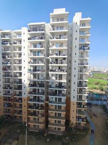 Image of 860 Sq.ft 3 BHK Apartment / Flat for sale in ROF Amaltas, Sector 92, Gurgaon for Rs. 7100000