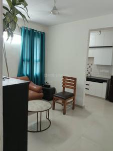 Hall Image of 700 Sq.ft 2 BHK Apartment / Flat for rent in Pareena Om Apartments, Sector 112 Gurgaon for Rs. 25000