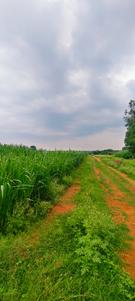 Image of 43560 Sq.ft Residential Plot / Land for sale in Kandukur, Hyderabad for Rs. 15000000
