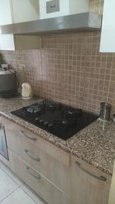 Kitchen Image of 1980 Sq.ft 3 BHK Apartment / Flat for rent in DLF Commanders Court, Egmore Chennai for Rs. 100000