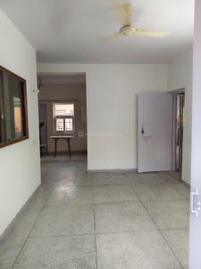 Hall Image of 1200 Sq.ft 3 BHK Apartment / Flat for rent in Sahyog Apartment, Mayur Vihar Phase 1 New Delhi for Rs. 45000