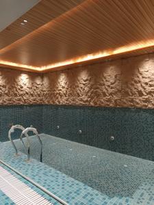 Bathroom Image of 9000 Sq.ft 5 BHK Duplex for sale in Hauz Khas New Delhi for Rs. 320000000