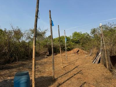 Image of 8000 Sq.ft 4 BHK Farm House for sale in Arambol, Goa for Rs. 27000000