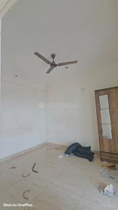 Hall Image of 530 Sq.ft 1 BHK Apartment / Flat for rent in Gaurs 14th Avenue, Noida Extension Greater Noida for Rs. 17000