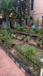 Image of 1000 Sq.ft 2 BHK Independent House for rent in City Center, Durgapur for Rs. 10000
