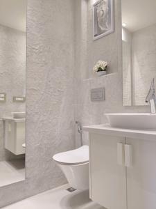 Common Bathroom Image of 2500 Sq.ft 4 BHK Builder Floor for sale in Ardee Platinum Greens, Sector 52 Gurgaon for Rs. 45000000