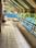 Balcony Image of Durva P.G.Services in Gokhalenagar, Pune