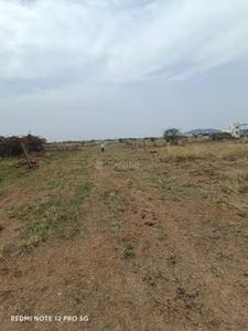 Mudichur Plot View 1