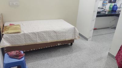 Hall Image of 450 Sq.ft 2 RK Apartment / Flat for rent in Sector 16 Dwarka New Delhi for Rs. 20000