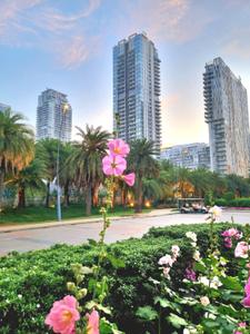 Image of 2400 Sq.ft 3 BHK Apartment / Flat for sale in M3M Latitude, Sector 65, Gurgaon for Rs. 59900000