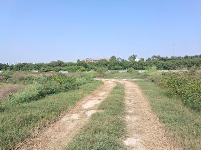 Image of 1170 Sq.ft Residential Plot / Land for sale in Knowledge Park 3, Greater Noida for Rs. 4550000
