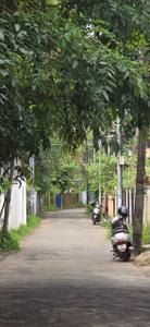 Image of 3702 Sq.ft Residential Plot / Land for sale in Vellayil, Kozhikode for Rs. 19000000