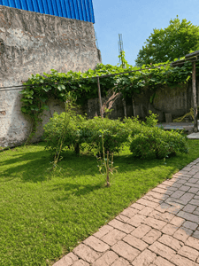 Image of 3444 Sq.ft 3 BHK Independent House for sale in Dadri, Greater Noida for Rs. 10500000