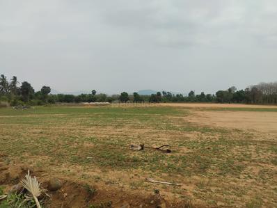 Image of 1000 Sq.ft Residential Plot / Land for sale in Katpadi, Vellore for Rs. 1300000