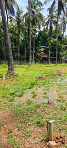 Image of 2178 Sq.ft Residential Plot / Land for sale in Ayyanthole, Thrissur for Rs. 700000