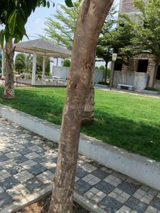 Shree Krishna Avenue Phase 1 Plot View 3