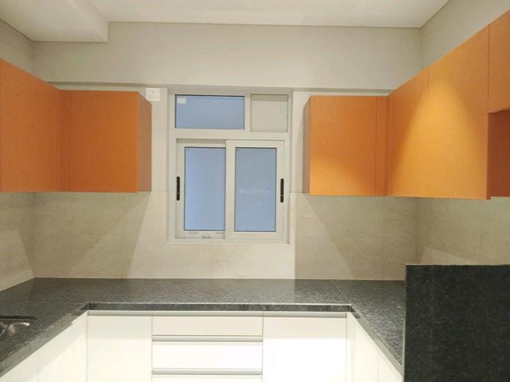 Rishabh Palacino Main Image 1