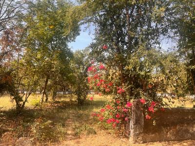 Parsi Dungarvadi Plot View 3