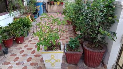 Balcony Image of 2000 Sq.ft 6 BHK Independent House for sale in Civil Lines Raipur for Rs. 20000000