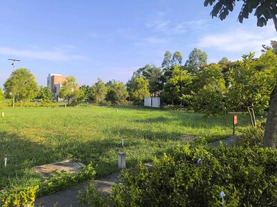 EDEN144 by THEA ESTATE Plot View 2