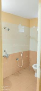 Bathroom Image of 1765 Sq.ft 3 BHK Apartment / Flat for rent in Madhurawada Visakhapatnam for Rs. 20000