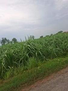 Image of 1500 Sq.ft Residential Plot / Land for sale in Garh Mukteshwar, Hapur for Rs. 5000000