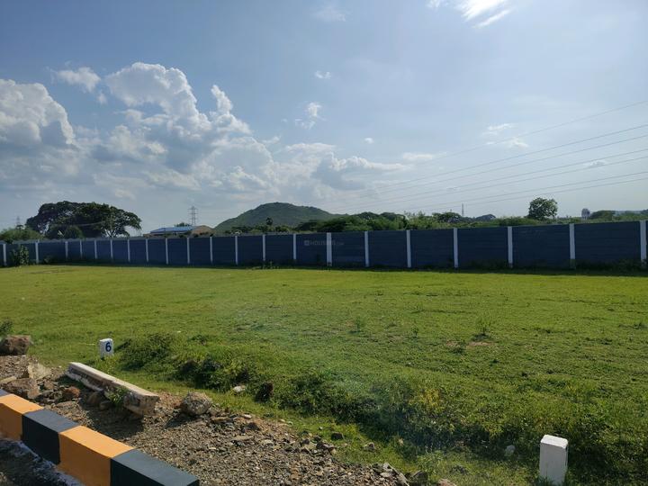 Thalimangalam Main Image 1