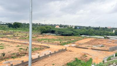 Kasa Iconic 6 Plot View 2