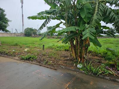Image of 3000 Sq.ft Residential Plot / Land for sale in DLF Gardencity, Manglia, Indore for Rs. 19200000
