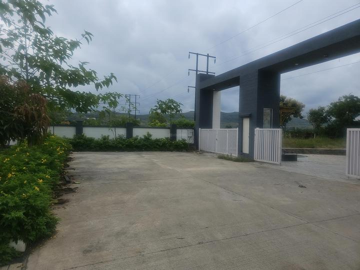 Uruli Kanchan Main Image 1